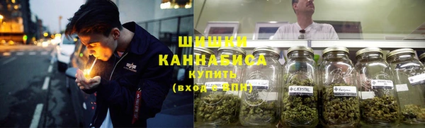 ПСИЛОЦИБИНОВЫЕ ГРИБЫ Алексеевка